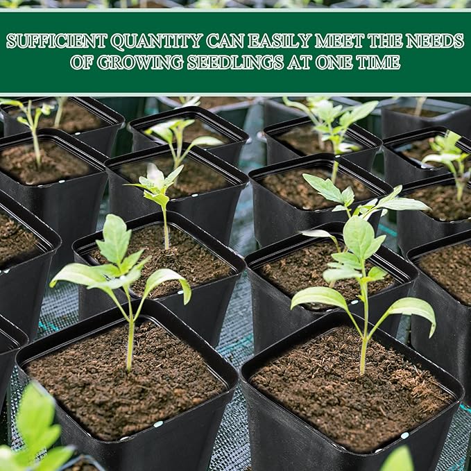 1000 Pcs 2.7 Inch Nursery Pots Bulk Square Small Plastic Seedling Starter Pots with Drainage Holes, Deep Planting Containers for Indoor Outdoor, Greenhouse, Garden, Nursery & Farm Use, Black