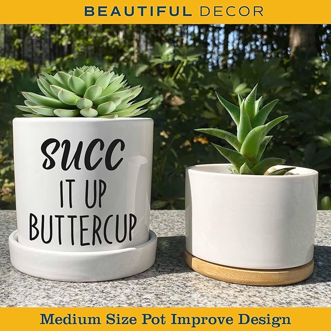 Funny Succulent Planter - SUCC it Up Buttercup, Cute Ceramic Office Plant Pot with Drainage Hole & Ceramic Tray - 4.3'' Deeper Design
