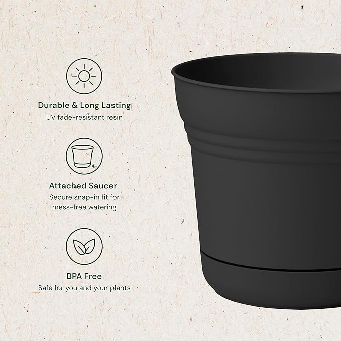 Bloem Saturn 5" Black Round Resin Planter Pot with Snap-in Saucer for Indoor and Outdoor Gardening
