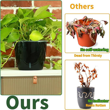 Planterhoma 5 Inch Self Watering Pots for Indoor Plants, 6 Packs African Violet Pots with Indicator, Black Wick Pot with Drainage Holes, Self Watering Planters for Orchid, Devil's Ivy, Black