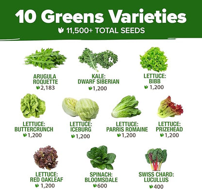 HOME GROWN 11,500+ Heirloom Lettuce Seeds - 10 Varieties Including Romaine, Buttercrunch, Iceberg, Kale & Spinach - Non-GMO USA Seeds for Planting Indoor, Outdoor & Hydroponic Gardens