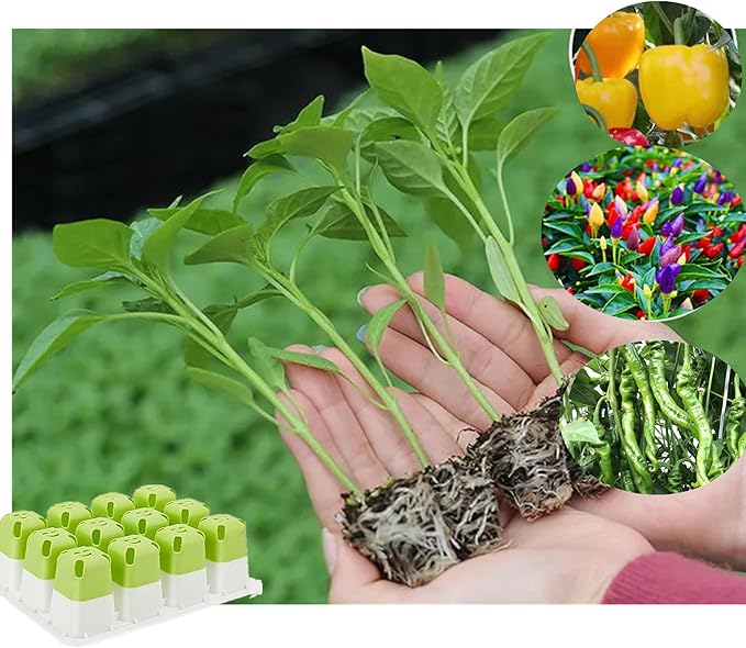 5pcs Seed Starter Tray, Silicone Seeding Starter with Pop-Out Cells (60 Cells in Total), Plant Growing Trays for Seed Starter, Indoor Seeding Planting Growing(5PCS,Green)