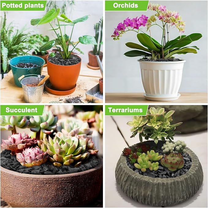 9 Quarts Horticultural Charcoal for Plants-Plant Charcoal Soil Amendment for Potting Indoor Plants, Succulent, Paphiopedilum, Bonsai, Terrarium,and Gardening