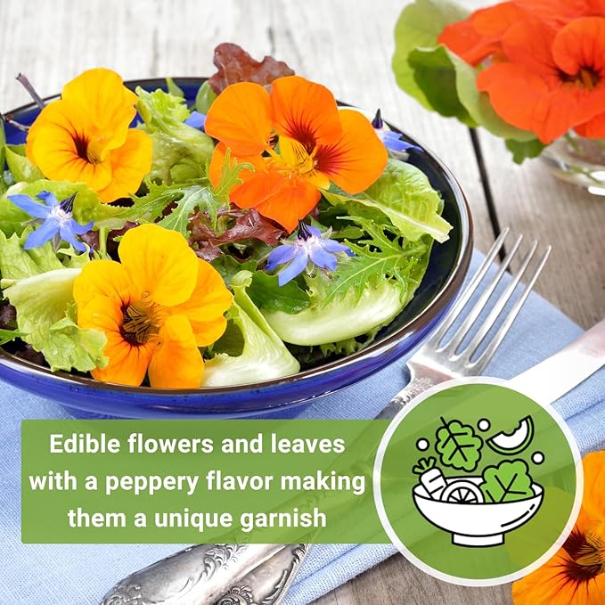 Sow Right Seeds - Dwarf Alaska Mix Nasturtium Seeds for Planting - Edible Flower - Non-GMO Heirloom Packet with Instructions to Plant in Your Garden - Warm Colored Blooms and Variegated Leaves (3)
