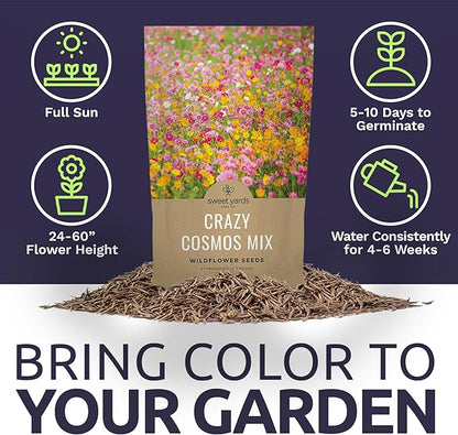Bulk Cosmos Seeds Wildflower Mixture - 1 Pound Bag - Over 80,000 Seeds - Pink, Yellow, Orange, Red, Purple and White Mixed Species!