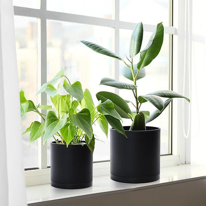 D'vine Dev 4.5 Inch 5.5 Inch 6.5 Inch, Set of 3 Plastic Planter Pots for Plants with Drainage Hole and Seamless Saucers, Black Color, Small Plus, 74-V-B-2