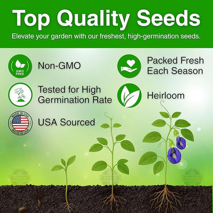 100+ USA Premium Butterfly Pea Flower Seeds for Planting, Non-GMO Seeds, Blue Butterfly Pea Vine (Clitoria Ternatea) Asian Pigeonwings -Tropical Vine Plant - Edible Flower Seeds