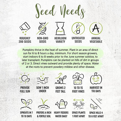 Seed Needs Connecticut Field Pumpkin Seeds for Planting | 1 Ounce Cucurbita Pepo Heirloom Vegetable Seeds Non GMO | American Field Favorite Carving Pumpkin | Bulk