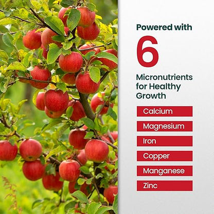 16oz Apple Tree Fertilizer - Makes 16 Gallons of Apple Tree Fertilizer, Nutrient-Rich Plant Food for Fruit Trees - Promotes Strong Branches, Healthy Foliage, and Juicy Apples