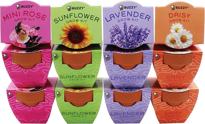 BUZZY Seeds Terracotta Mini Grow Pots, Flower Starter Kit, Assorted 12-Pack, Bright Series Collection Daisy, Lavender, Mini Rose, Sunflower Seeds, Gardening Gift, Party Favors, Weddings, Showers