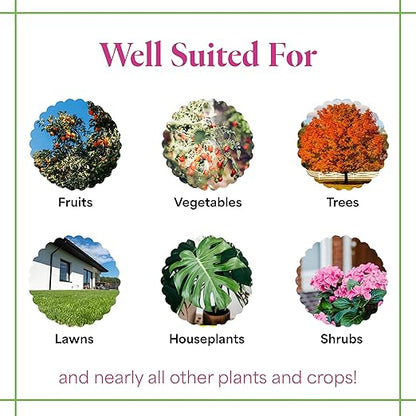 Grow More 20-20-20 Water Soluble Fertilizer - 25lb Bag of All Purpose Fertilizer for Exceptional Crop Yields - All Purpose Plant Food for Vegetables, Flowers, Trees, Shrubs, and Houseplants