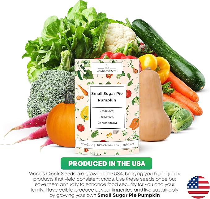 Small Sugar Pie Pumpkin Seeds for Planting – Heirloom, Non-GMO Sugar Pumpkin Seeds for Garden Growing, Sweet Pie Pumpkins for Baking & Cooking | Woods Creek Seeds