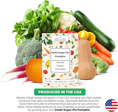 Small Sugar Pie Pumpkin Seeds for Planting – Heirloom, Non-GMO Sugar Pumpkin Seeds for Garden Growing, Sweet Pie Pumpkins for Baking & Cooking | Woods Creek Seeds