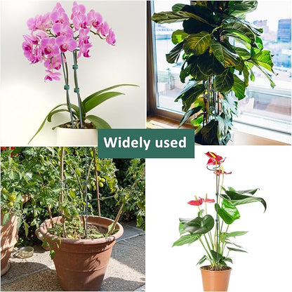 2 Set Metal Plant Sticks Support Tall 48 Inch Adjustable Plants Stem Support Rod Amaryllis Holder Stake Garden Flower Rings with 20PCS Clips 16.5' Plant Ties for Outdoor Indoor Plants