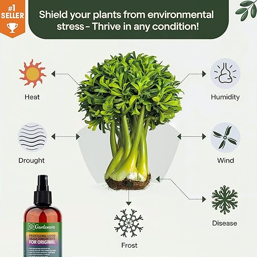𝐒𝐔𝐏𝐄𝐑𝐈𝐎𝐑 Liquid Silica Boost Fertilizer and Supplement Spray for Banana Tree Plants – Pre-Mixed, Ready-to-Use Liquid Silicon Plant Superfood Mist for Indoor & Outdoor Plants – 8oz