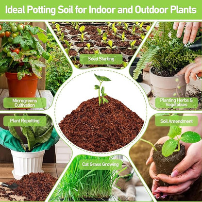 Legigo 200 Pcs 30mm Coco Coir Pellets Seed Starter Soil Mix- Organic Coconut Coir Potting Soil Pods for Seedling, Coco Peat Soil Discs for Indoor & Outdoor Plants Bonsai Herbs Vegetables and Flowers