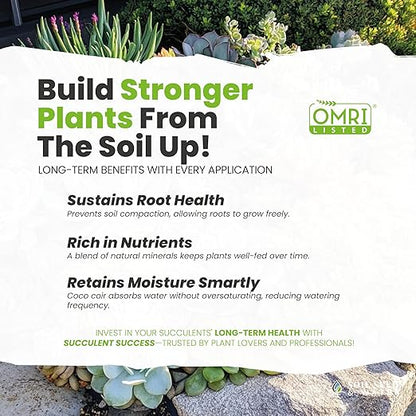 Soil Seed & Water Succulent Success Potting Mix – Fast-Draining Soil for Succulents, Cactus & Houseplants - Indoor and Outdoor Mix - OMRI Listed