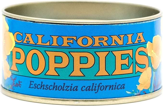 California Poppy | Flower Seed Grow Kit | The Jonsteen Company