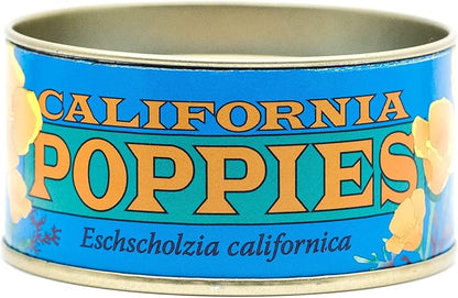 California Poppy | Flower Seed Grow Kit | The Jonsteen Company