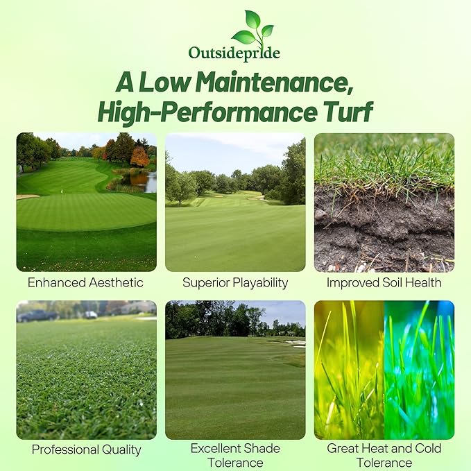Outsidepride Crystal Bluelinks Creeping Bent Grass Seed - 5 lbs. Dense Turf Grass for Golf Greens & Putting Surfaces, Fine-Textured, Tolerant to Close Mowing for Smooth, Consistent Lawn Coverage