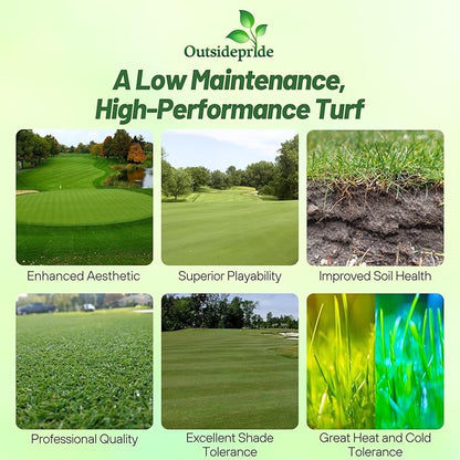 Outsidepride Crystal Bluelinks Creeping Bent Grass Seed - 5 lbs. Dense Turf Grass for Golf Greens & Putting Surfaces, Fine-Textured, Tolerant to Close Mowing for Smooth, Consistent Lawn Coverage