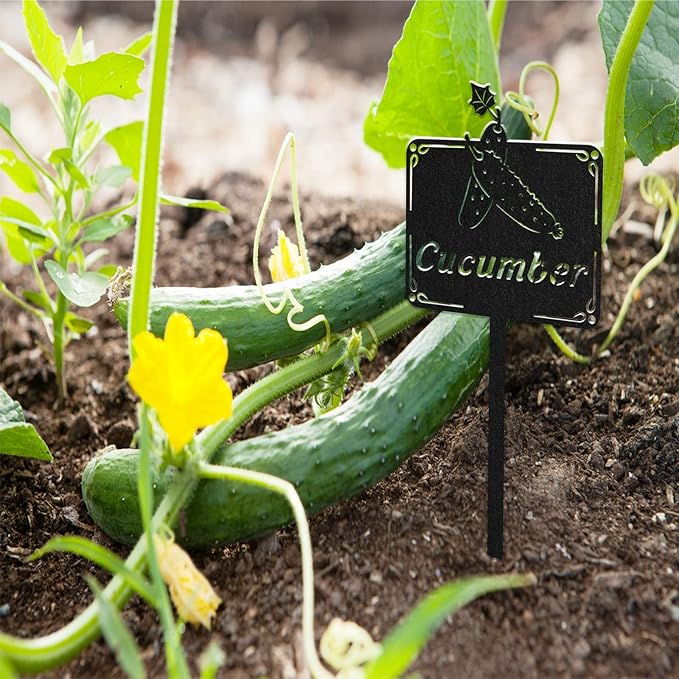 Metal Seed & Plant Labels - Plant Markes for Seedlings-Plant Tags for Pots - Garden Signs for Vegetable - Durable Markers for Plants Outdoor Waterproof - Garden Decor for Farmhouse(Peas)
