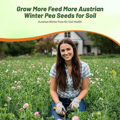 Outsidepride Austrian Winter Peas Seeds for Planting – 1 oz (Cool-Season Cover Crop, High-Protein Deer Food Plot Seed) Field Peas, Cover Crop Seeds, Spring Mix for Soil Health & Forage