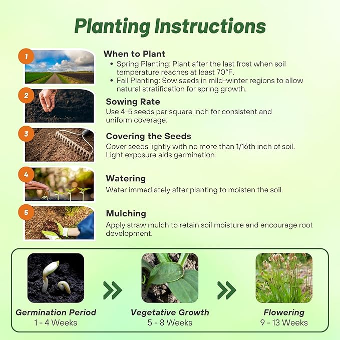 Outsidepride English Plantain Seeds for Planting - 10,000 Pcs Perennial, Easy-to-Grow Herb Seeds for Culinary, Farm & Household Uses, Low-Growing Foliage for Tropical & Subtropical Climates