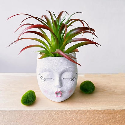 Funny Face Planter Kiss Head Face Planter Pot Handmade Flower Pot Lightweight Resin Plant Pots for Indoor and Outdoor Use White 1Pack