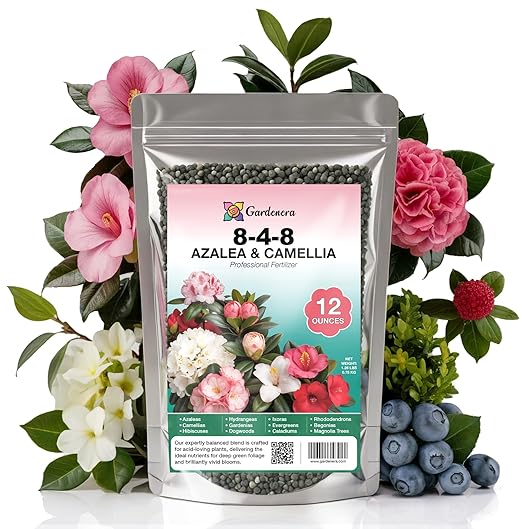 𝐁𝐄𝐒𝐓𝐒𝐄𝐋𝐋𝐄𝐑 Premium 8-4-8 Acidic Fertilizer for Azaleas, Camellias, Hydrangeas, Blueberries, Gardenias, Magnolia Trees, Evergreens and Rhododendrons - Ideal Iron-Rich Plant Food [12 OZ]