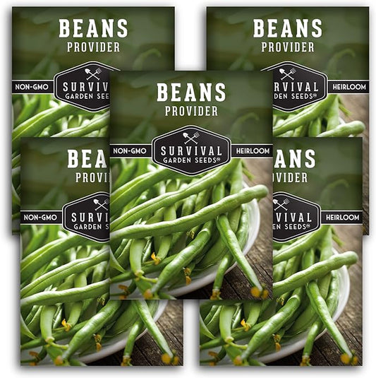 Survival Garden Seeds - Provider Bush Bean Seed for Planting - 5 Packs with Instructions to Plant and Grow Stringless Green Beans in Your Home Vegetable Garden - Non-GMO Heirloom Variety
