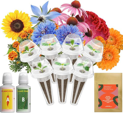 Inbloom Fragrant Bouquet Flower 7 Pods Seed Pod Kit for AeroGarden, iDoo, Ahopegarden, GARDENCUBE(350+ Flower Seeds with Marigold, Daisy, Cockscomb, Borage, Dwarf Sunflower Bambino, Marigold, Dahlia)