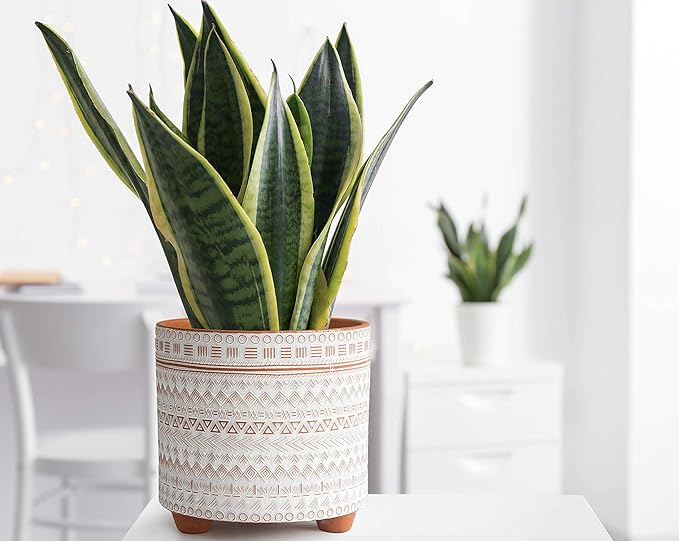 D'vine Dev 8 Inch Terracotta Planter Pot, Modern Design Ceramic Plants Pot with Drainage Hole, Saharan Script, 33-953-D-1