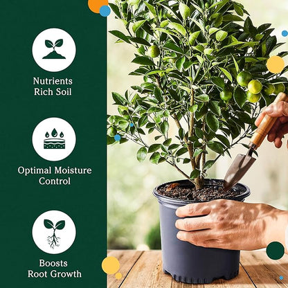 Chunky Soil Mix for Indoor Plants - Citrus Trees, Indoor Potting Soils, Loamy Soil for Tree Plant, Fruit Bedding, Lemon Tree Bedding Tropical and Potting Mix Soils (4.25 quarts) by Via Citrus
