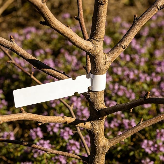 200PCS Plastic Plant Labels Tree Tags, Wrap Around Hanging Plant Tags and Labels for Outdoor Plants Waterproof, Garden Markers for Seedlings with Permanent Marker Pen (White)