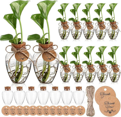 Baderke 12 Pack Big 10oz Plastic Plant Propagation Stations with Hole Lid Planter Vase Clear Propagation Jars with Thank You Tags for Plant Lover Gifts for Women Office Home Garden