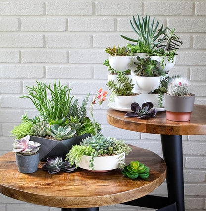 The HC Companies 6 Inch Round Plastic Succulent Capri Bowl 6"x6"x2.25" in Faux Concrete Color