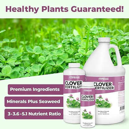 Clover Fertilizer- Liquid Fertilizer for Clover Lawns, Great for Microclover and Dutch White Clover, 8oz