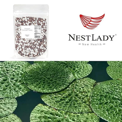 NESTLADY Gorgon Fruit, Semen Euryales, Gorgon Euryale Seed - 100% Natural | Net weight: 1LB, Harvested in China,Packed in USA