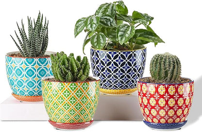 Succulent Ceramic Pots, 3.8 Inch Small Plant Pots with Drainage Hole & Saucer, Flower Planter Pot for Houseplants, Cacti, Home Decor, Set of 4, Vibrant Colors