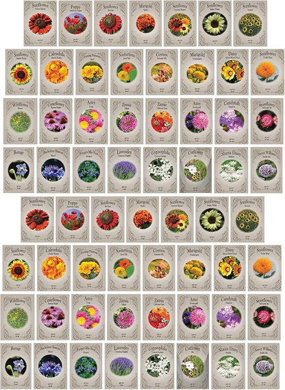 Set of 62 Premium Variety Flower Seed Packets - Heirloom Non-GMO and Proudly Sourced in The USA (62)