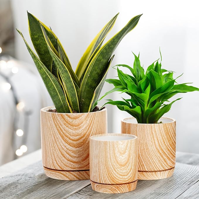 Dicunoy Set of 3 Ceramic Planters - 6"/5"/4" Cylinder Flower Pots with Drainage Holes and Saucers for Indoor, Outdoor, Garden, Cactus, Herbs, Snake Plants, Aloe Vera, All House Plants