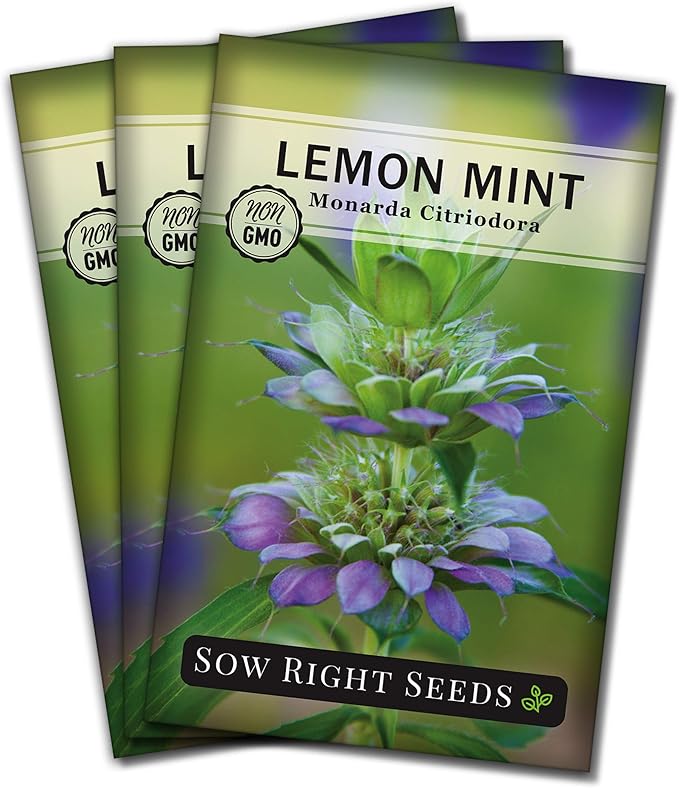Sow Right Seeds - Lemon Mint Seed for Planting - Non-GMO Heirloom with Packet with Instructions to Plant and Grow an Herbal Tea Garden - Indoors or Outdoor - Monarda to Attract Pollinators (3)