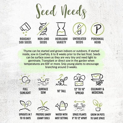 Seed Needs Thyme Seeds for Planting - Non-GMO Heirloom & Untreated Perennial Herb Seed to Plant a Culinary Kitchen Garden Indoors or Outdoors (1 Pack)