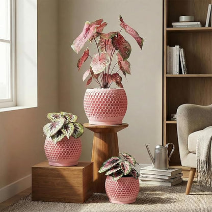 Plant Pots, Modern 3D Printed Honeycomb Planters for Indoor Plants, 4.7/6/8 Inch Cherry Pink Decorative Flower Pot for Office Desktop, Bookshelf & Home Decor, Lightweight & Durable.