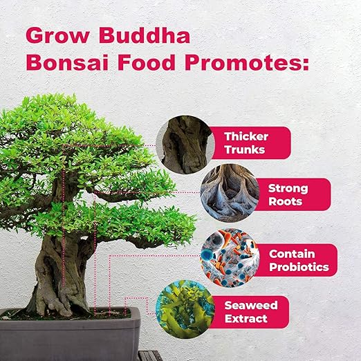 Bonsai Food Fertiliser – Liquid Concentrated Fertiliser for Bonsai Trees 100 ml – Fast Growth with Strong Root – Suitable for All Bonsai Trees and Plants