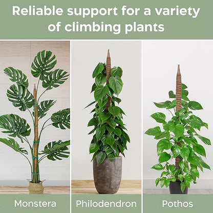 K-Brands 48'' Bendable Moss Pole Monstera Plant Support - Coconut Palm Fiber - Brown - Rectangular - Climbing Plant Support Structure