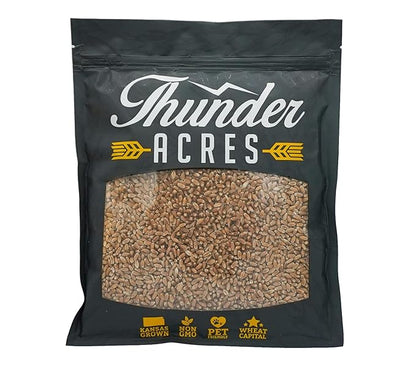 Non-GMO, Thunder Acres Premium Wheat Seed, Cat Grass Seed, Wheatgrass, Hard Red Winter Wheat (2 lbs.)