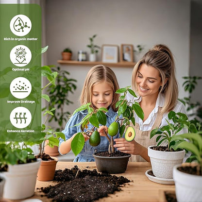 Organic Avocado Tree Potting Soil Mix 10qt, Enhance Growth and Transplant Success for Avocado Plants