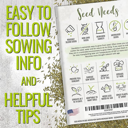 Seed Needs 30,000+ Common Dandelion Herb Seeds for Planting - Non-GMO, Heirloom & Untreated - Grow a Home Grown Herb & Vegetable Garden (Bulk) Great for Salads